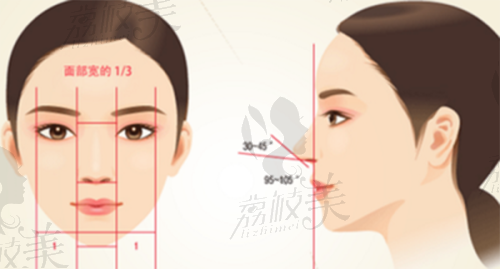 美體塑形專長塑造理想身材