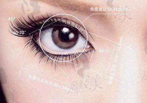 [北京紫洁眼袋双眼皮医院]价格表 / 收费标准