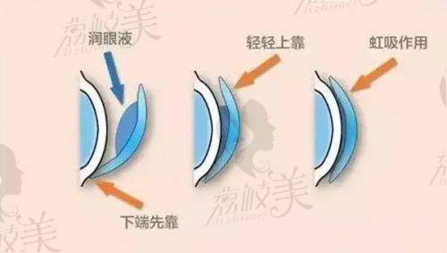 九、挂号预约方式