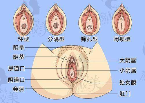 重慶美侖美奐整形美容醫(yī)院是三等甲嗎——醫(yī)院綜合評(píng)價(jià)