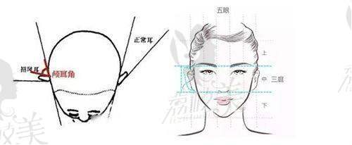 南京美萊整形醫(yī)院是三等甲醫(yī)院?jiǎn)帷t(yī)院特色亮點(diǎn)