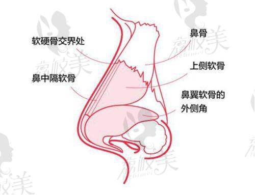 南京美萊整形醫(yī)院是三等甲醫(yī)院?jiǎn)帷t(yī)院地址與掛號(hào)指南