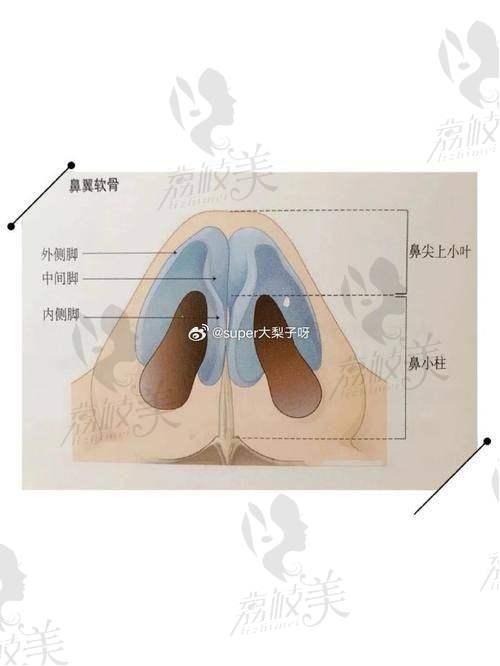 中山貝熙王牌醫(yī)生：美鼻背后的魔法之手