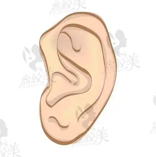 曾开达医生荣誉资质