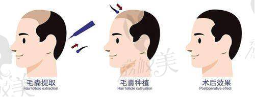 二、上海德琳医疗美容医院正规吗？来看看医院资质：