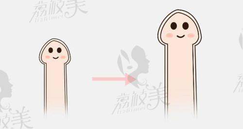 张国喜医生擅长项目：