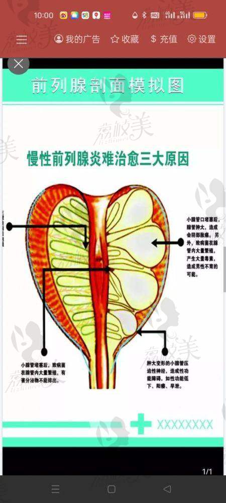 张国喜医生荣誉资质：