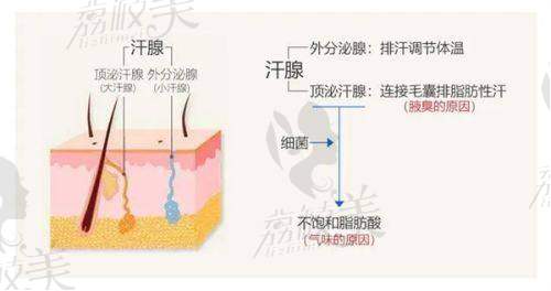 廖明德医生口碑怎么样？