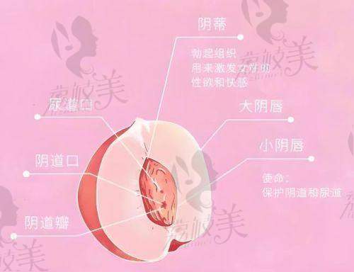 産後修複關注者眼中的李峰永：緊致+自我感知提升
