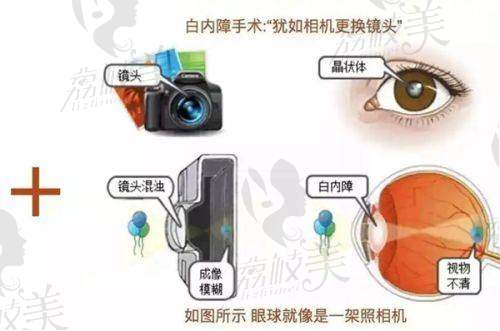 四、河南省职工医院医疗美容科开展的项目以及特色项目