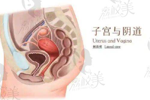苏州美诗沁去眼袋正规吗？专注眼部年轻化的连锁机构，OSC定位去眼袋技术微创无痕效果持久