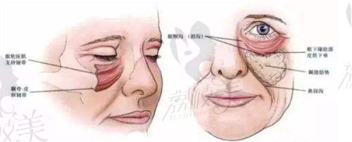 技术优势:创新与专精结合