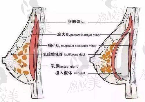 深圳富华医疗美容医院是几级医院？行业地位与影响力