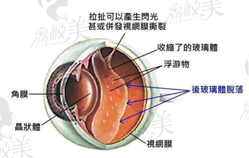 张全美医生个人资料简介：