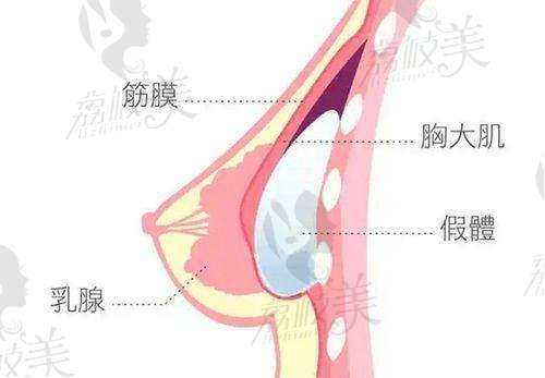 杭州星缇医疗美容诊所地址及乘车路线：