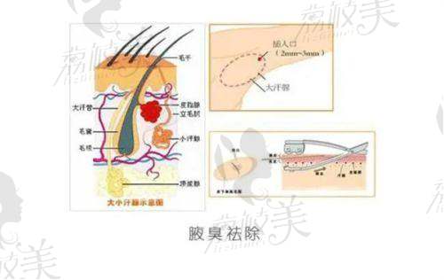 价格体系谁更合理？