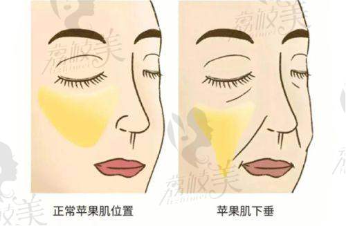 空军军 医 大学唐都医院烧伤整形科特色项目：