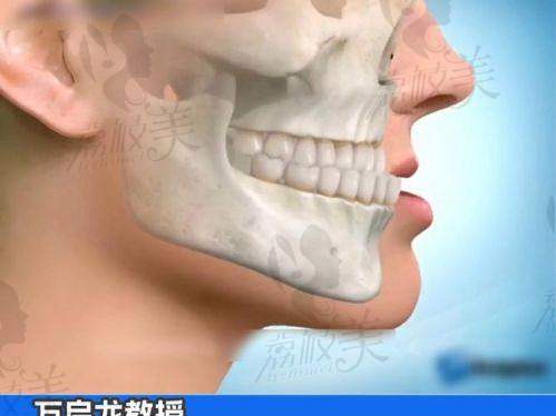李自力医生出诊地点&时间表一览