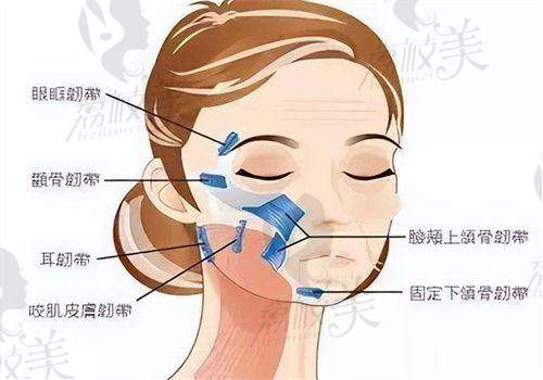 陈兵医生荣誉资质: