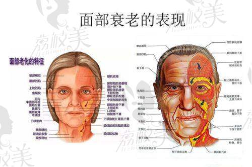 2. 九龙医院男科检查多少钱？专项检查价格
