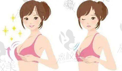 李晓晓主事：专精实力与创新精神兼具