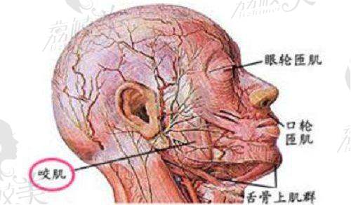 常冬青修复双眼皮口碑好吗？北京知音医疗显微器械操作技术，分层织网修复自然无痕