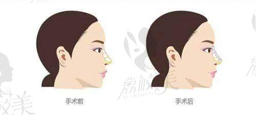 陈碾医生执业信息: