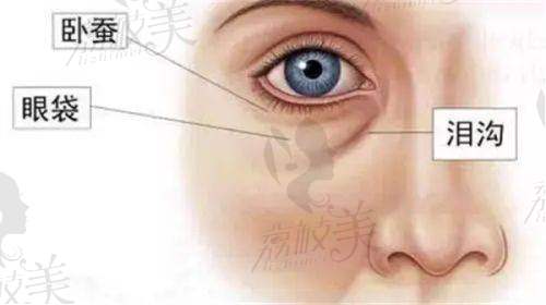 陈碾医生口碑怎么样?