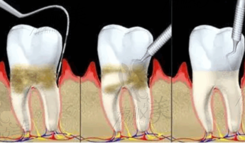 天津爱齿口腔医院是国有还是私立医院?从资质看答案