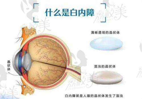 曹天龙怎么预约挂号？
