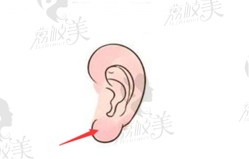衡阳市第一人民医院整形美容科电话号码:
