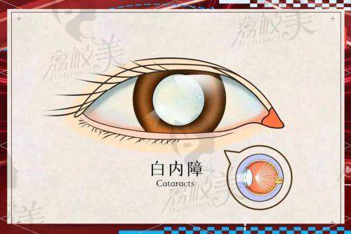 曹天龙荣誉资质