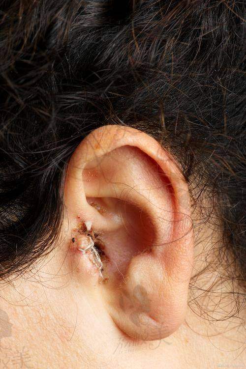 蒋海越的技术特点与风格