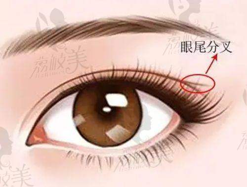 武汉科技大学附属天佑医院医学美容科营业时间: