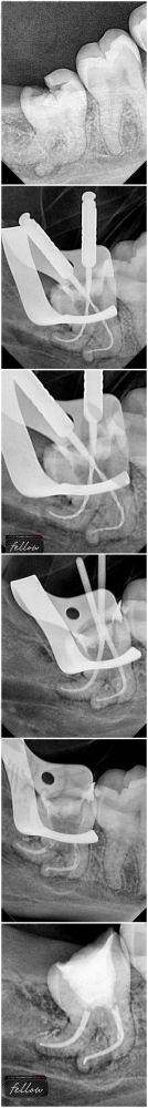 坐诊医生介绍：经验多，细节决定温度