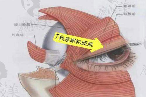 遵义韩美杨栋切开双眼皮:真人实例见证美丽奇迹!