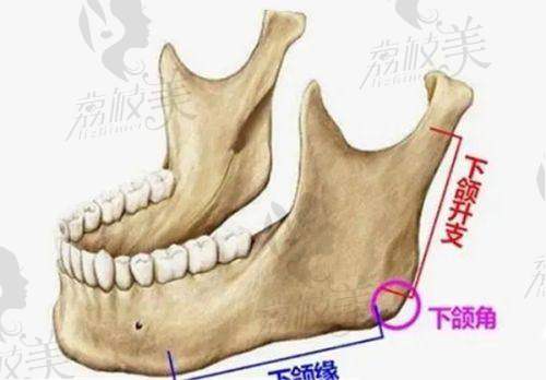 沈阳澳加医疗美容门诊部地址及乘车路线: