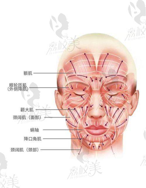 眭云鹏医生——华 西「无痕挂帅派」,拉得紧却看不出