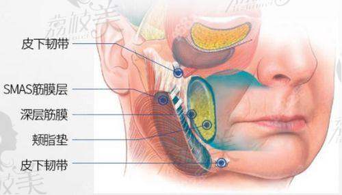 六、持久性如何?能拉10年+是真是假?