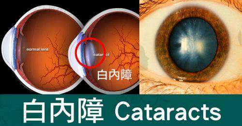 艾力坤医生出诊时间一览:别扑空,记得预约!