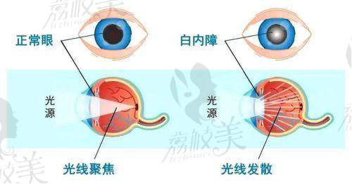 口碑评价:众人眼中的“显微侠”!